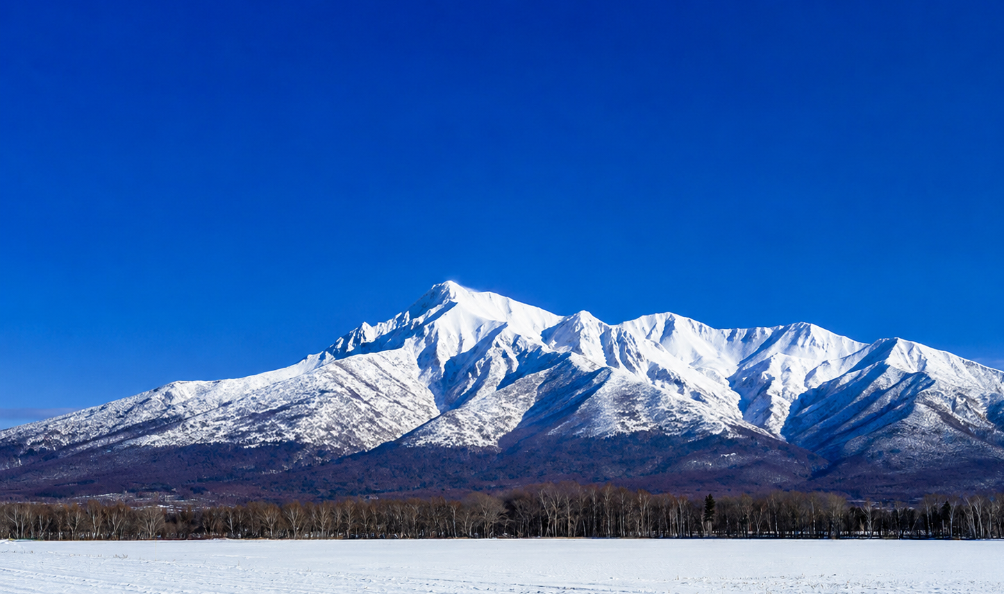 雪原の向こうに望む冬の斜里岳